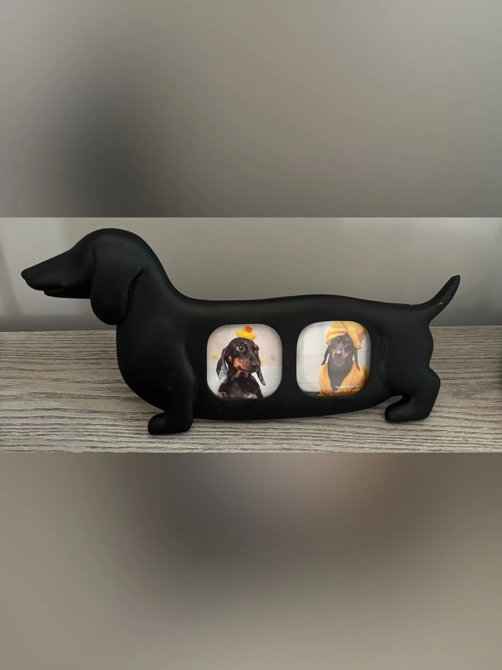 New Dachshund Dog Picture Frame